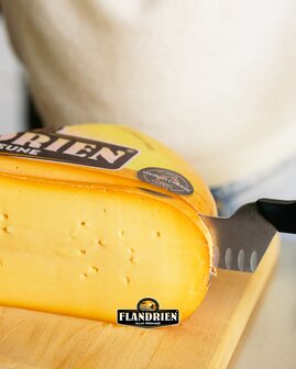 Flandrien jong